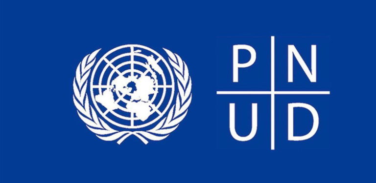 pnud-768x375